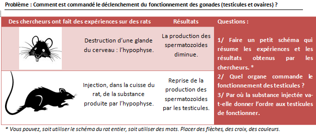 Schéma Fonctionnel Du Déclenchement De La Puberté